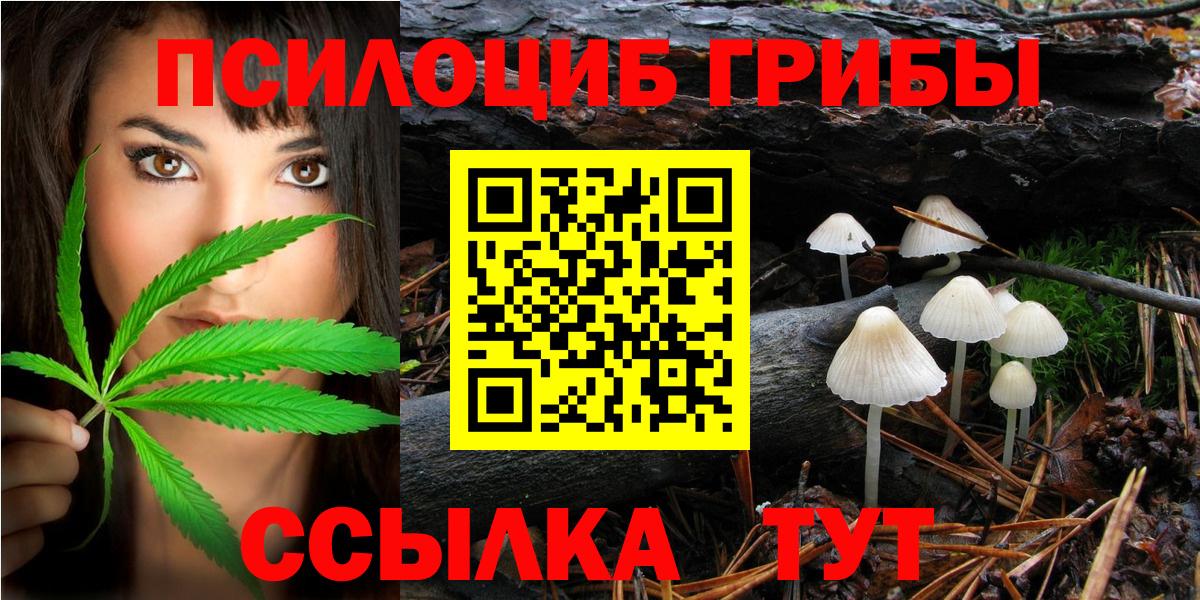 Псилоцибиновые грибы Psilocybe  Вход с VPN  Галлюциногенные грибы MAGIC MUSHROOMS  Таганрог 