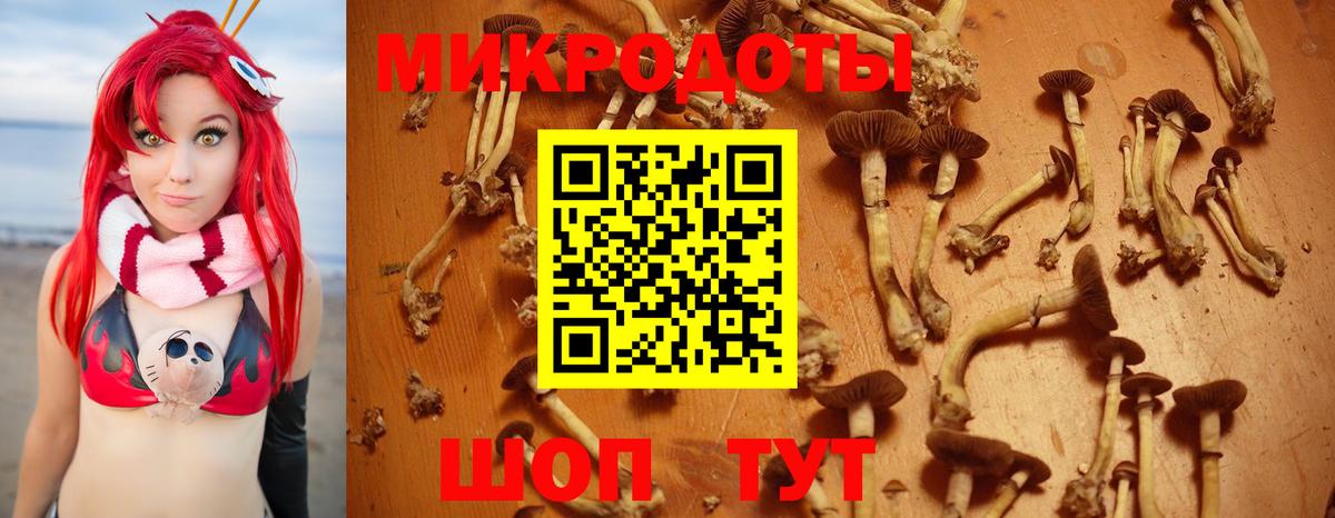 Псилоцибиновые грибы MAGIC MUSHROOMS Таганрог